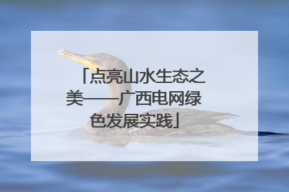 点亮山水生态之美——广西电网绿色发展实践