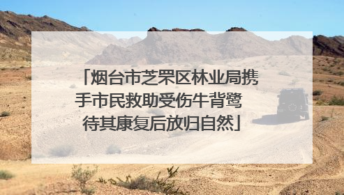 烟台市芝罘区林业局携手市民救助受伤牛背鹭 待其康复后放归自然