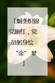 烟垄织锦党旗红，党员躬身绘 “金” 梦