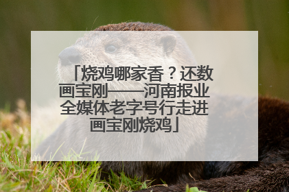 烧鸡哪家香？还数画宝刚——河南报业全媒体老字号行走进画宝刚烧鸡