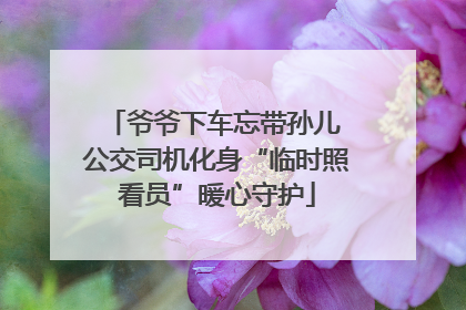 爷爷下车忘带孙儿 公交司机化身“临时照看员”暖心守护