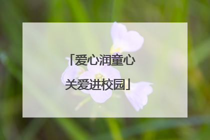 爱心润童心 关爱进校园