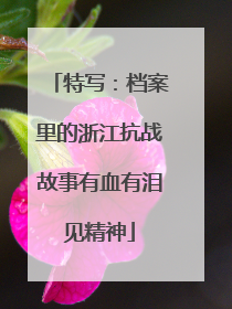 特写：档案里的浙江抗战故事有血有泪见精神