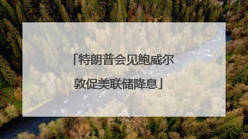 特朗普会见鲍威尔 敦促美联储降息