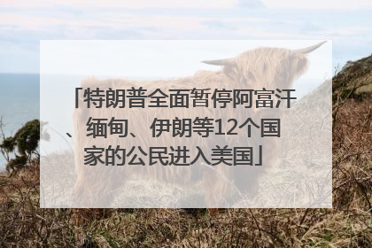特朗普全面暂停阿富汗、缅甸、伊朗等12个国家的公民进入美国