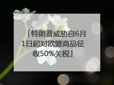 特朗普威胁自6月1日起对欧盟商品征收50%关税