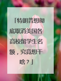 特朗普想彻底取消美国各高校留学生名额，究竟想干啥？