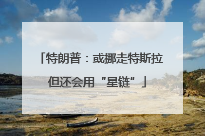 特朗普：或挪走特斯拉 但还会用“星链”