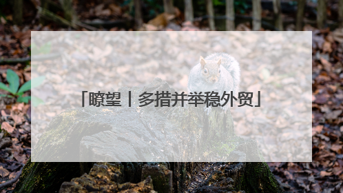 瞭望丨多措并举稳外贸