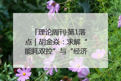 理论周刊·第1落点｜胡金焱：求解“能耗双控”与“经济增长”矛盾