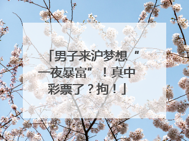 男子来沪梦想“一夜暴富”！真中彩票了？拘！