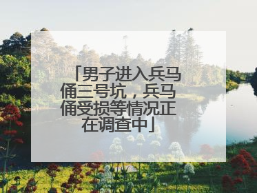 男子进入兵马俑三号坑，兵马俑受损等情况正在调查中
