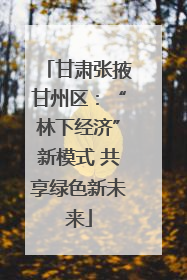 甘肃张掖甘州区：“林下经济”新模式 共享绿色新未来