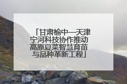 甘肃榆中—天津宁河科技协作推动高原夏菜智慧育苗与品种革新工程
