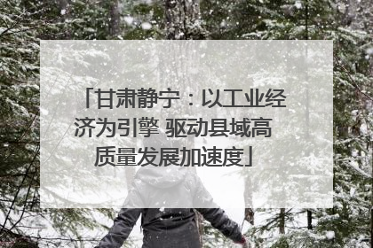 甘肃静宁：以工业经济为引擎 驱动县域高质量发展加速度