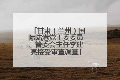 甘肃（兰州）国际陆港党工委委员、管委会主任李建亮接受审查调查