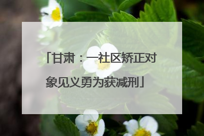 甘肃：一社区矫正对象见义勇为获减刑
