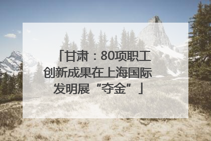 甘肃：80项职工创新成果在上海国际发明展“夺金”