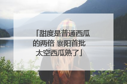 甜度是普通西瓜的两倍 襄阳首批太空西瓜熟了