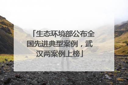 生态环境部公布全国先进典型案例，武汉两案例上榜