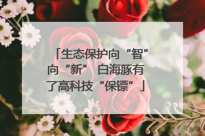 生态保护向“智”向“新” 白海豚有了高科技“保镖”