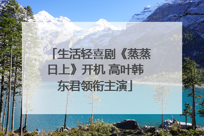 生活轻喜剧《蒸蒸日上》开机 高叶韩东君领衔主演