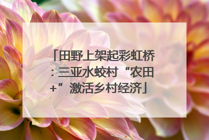 田野上架起彩虹桥：三亚水蛟村“农田+”激活乡村经济