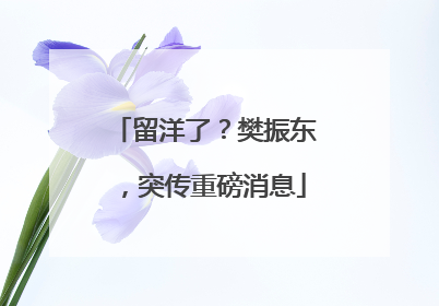 留洋了？樊振东，突传重磅消息