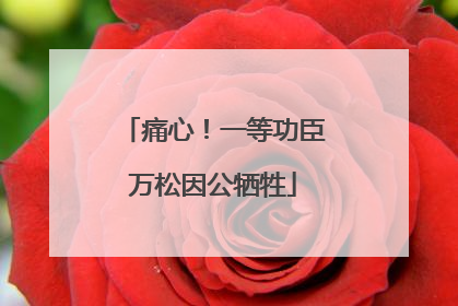 痛心！一等功臣万松因公牺牲