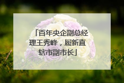 百年央企副总经理王秀峰，履新直辖市副市长