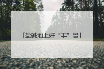盐碱地上好“丰”景