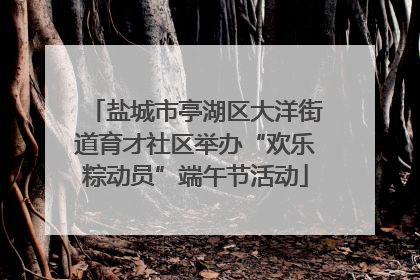 盐城市亭湖区大洋街道育才社区举办“欢乐粽动员”端午节活动