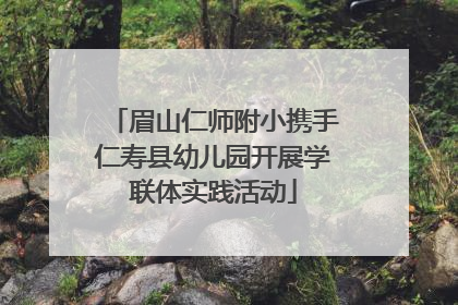 眉山仁师附小携手仁寿县幼儿园开展学联体实践活动