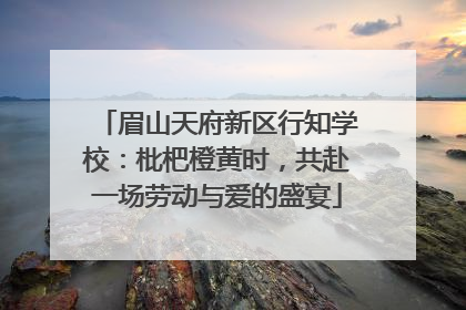眉山天府新区行知学校：枇杷橙黄时，共赴一场劳动与爱的盛宴