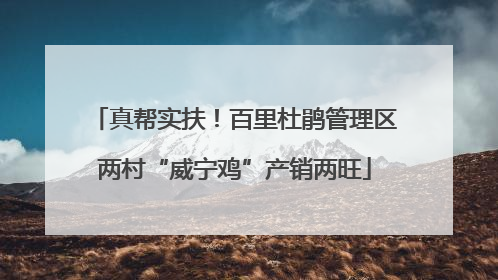 真帮实扶！百里杜鹃管理区两村“威宁鸡”产销两旺