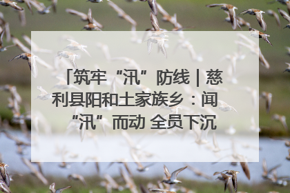 筑牢“汛”防线｜慈利县阳和土家族乡：闻“汛”而动 全员下沉筑牢防汛“安全堤”