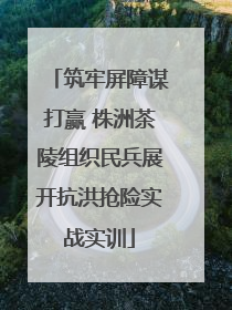 筑牢屏障谋打赢 株洲茶陵组织民兵展开抗洪抢险实战实训
