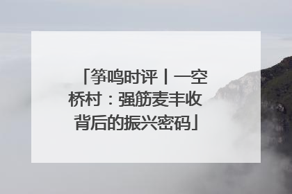 筝鸣时评丨一空桥村：强筋麦丰收背后的振兴密码
