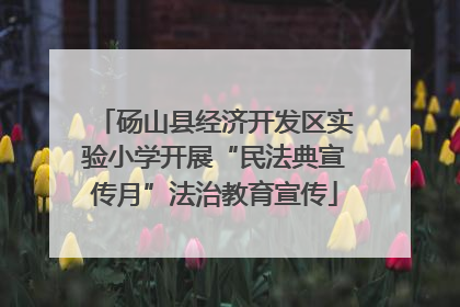 砀山县经济开发区实验小学开展“民法典宣传月”法治教育宣传