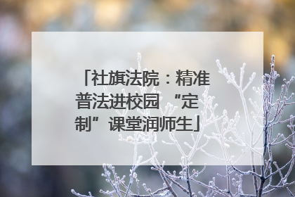 社旗法院：精准普法进校园 “定制”课堂润师生