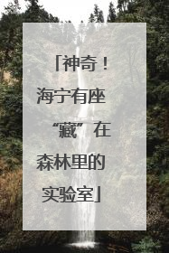神奇！海宁有座“藏”在森林里的实验室