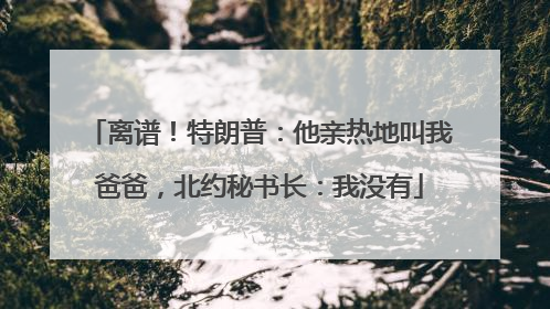 离谱！特朗普：他亲热地叫我爸爸，北约秘书长：我没有