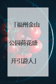 福州金山公园荷花盛开引游人