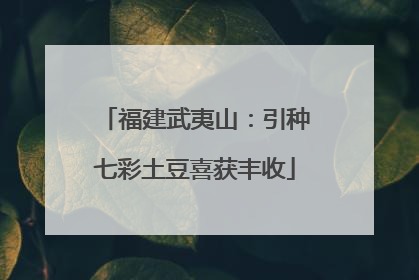福建武夷山：引种七彩土豆喜获丰收