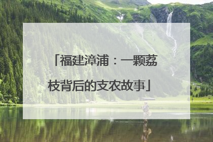 福建漳浦：一颗荔枝背后的支农故事