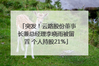 突发！云路股份董事长兼总经理李晓雨被留置 个人持股21%