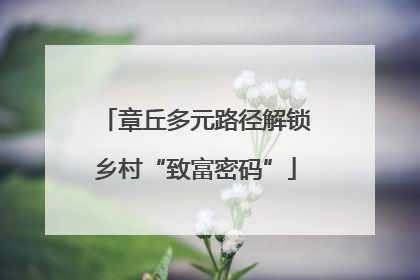 章丘多元路径解锁乡村“致富密码”