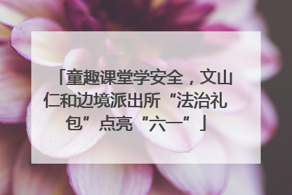 童趣课堂学安全，文山仁和边境派出所“法治礼包”点亮“六一”