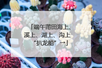端午莆田海上、溪上、湖上、沟上“扒龙船”→