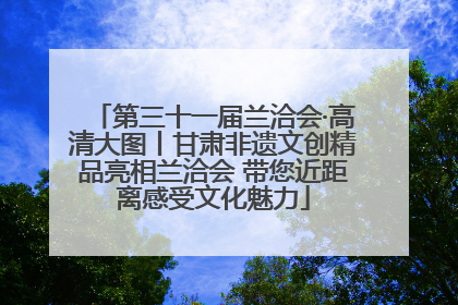 第三十一届兰洽会·高清大图丨甘肃非遗文创精品亮相兰洽会 带您近距离感受文化魅力